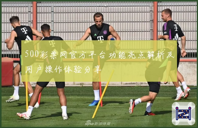 500彩票网官方平台功能亮点解析及用户操作体验分享