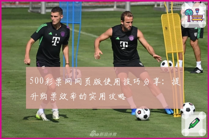 500彩票网网页版使用技巧分享：提升购票效率的实用攻略